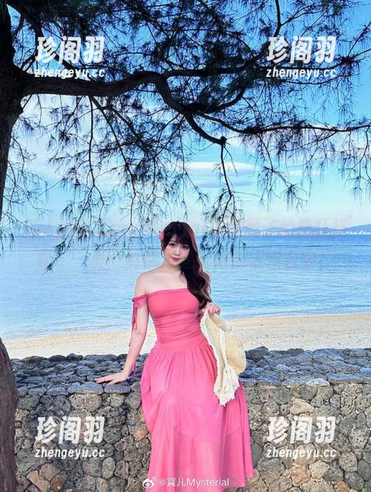 迷人的宝儿mysterial与索尼子的疯狂搭配：一页一页都是壁纸般的浪漫合集！