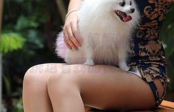 魔镜街拍 – 图库里，婷婷的薄丝OL形象，包臀灰裙挑逗着我的视线，太绝了。